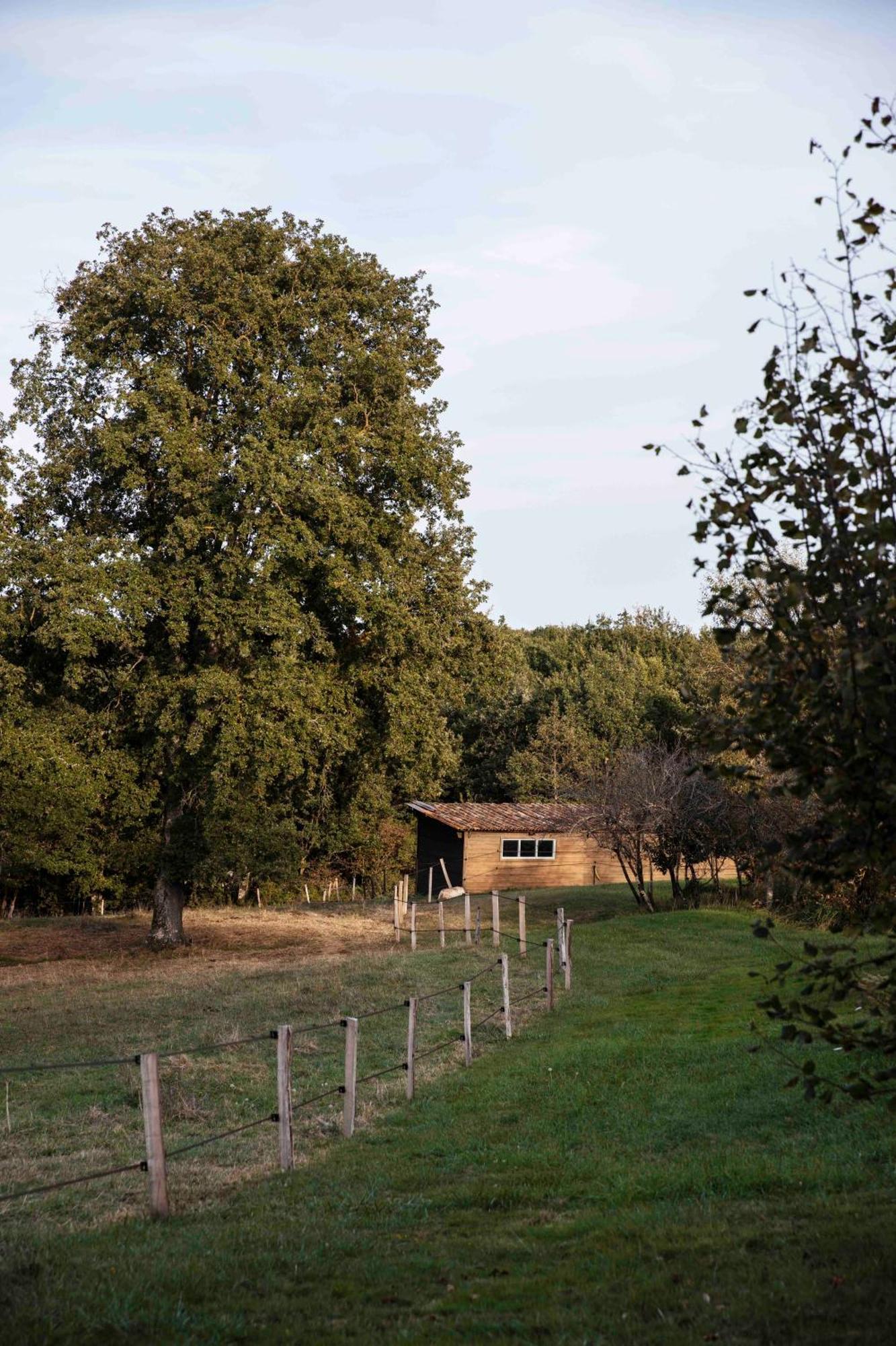 Maison Bellamant Alan Kültér fotó
