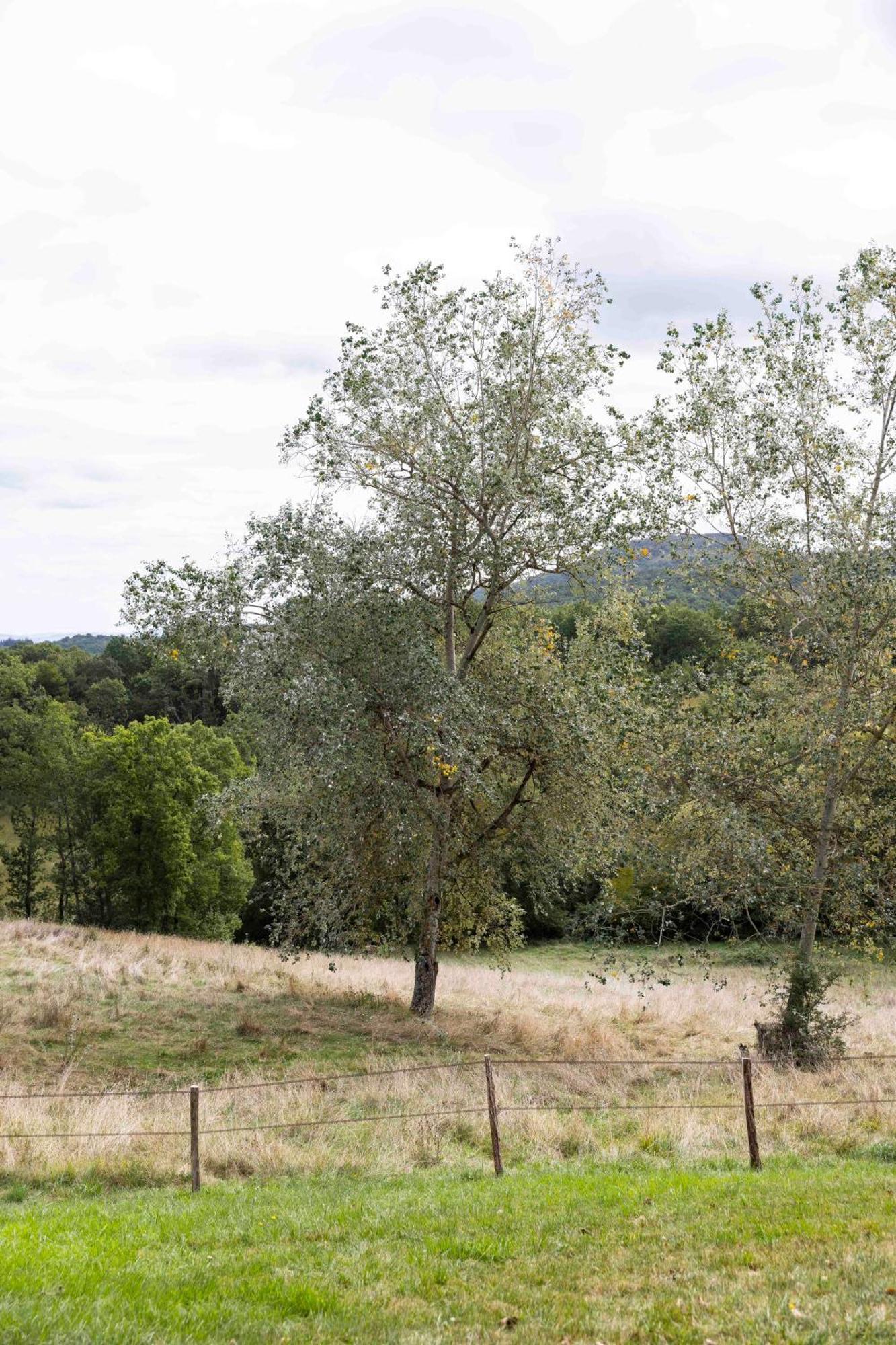 Maison Bellamant Alan Kültér fotó